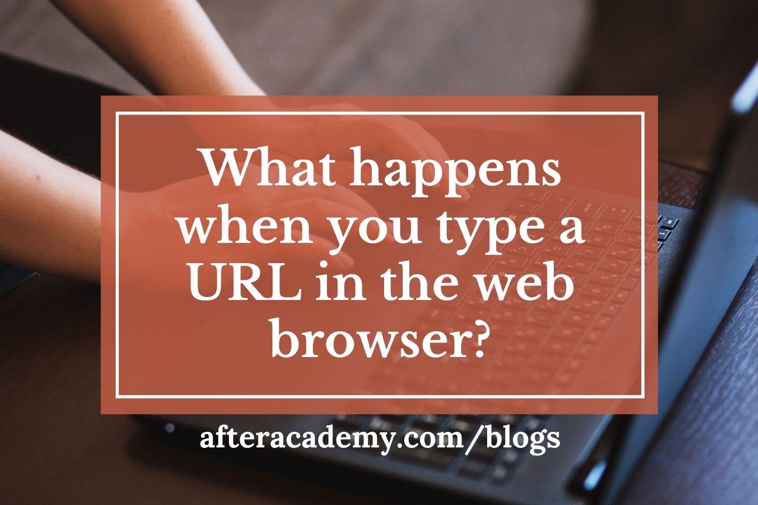 What happens when you type a URL in the web browser?