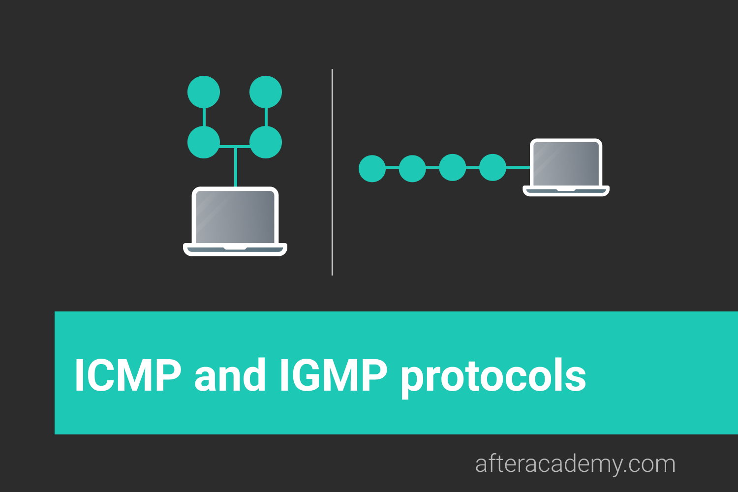 What are ICMP and IGMP protocols?