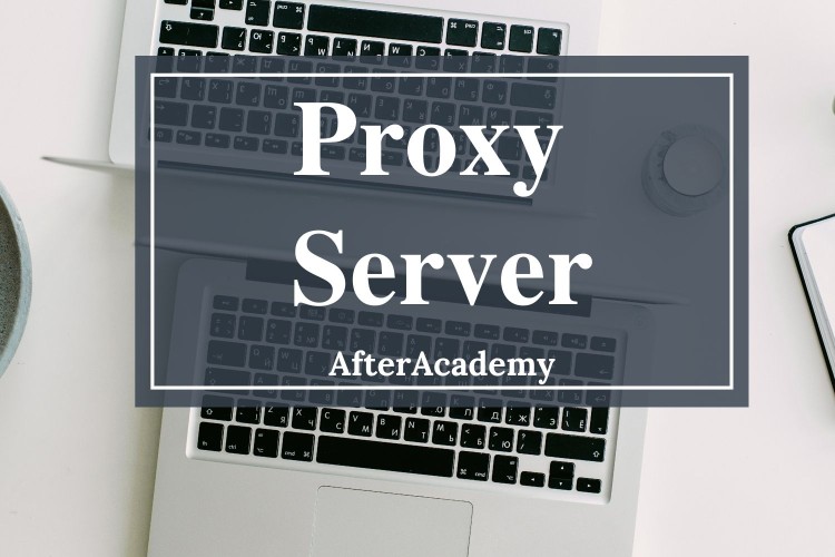 What are Proxy Servers and how do they protect computer networks?