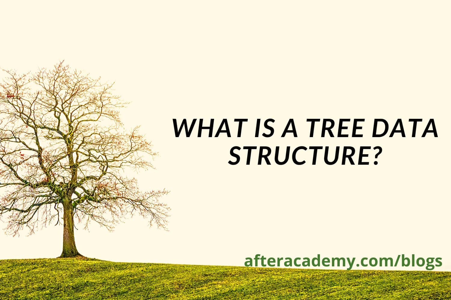 What is a tree data structure?