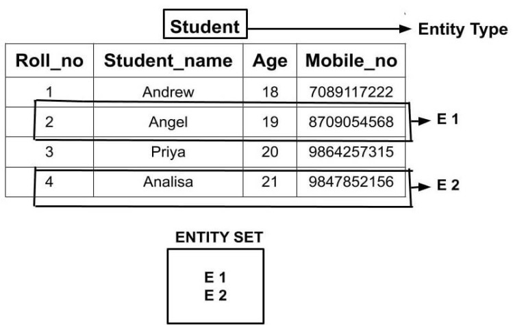 What Is An Entity Entity Type And Entity Set 