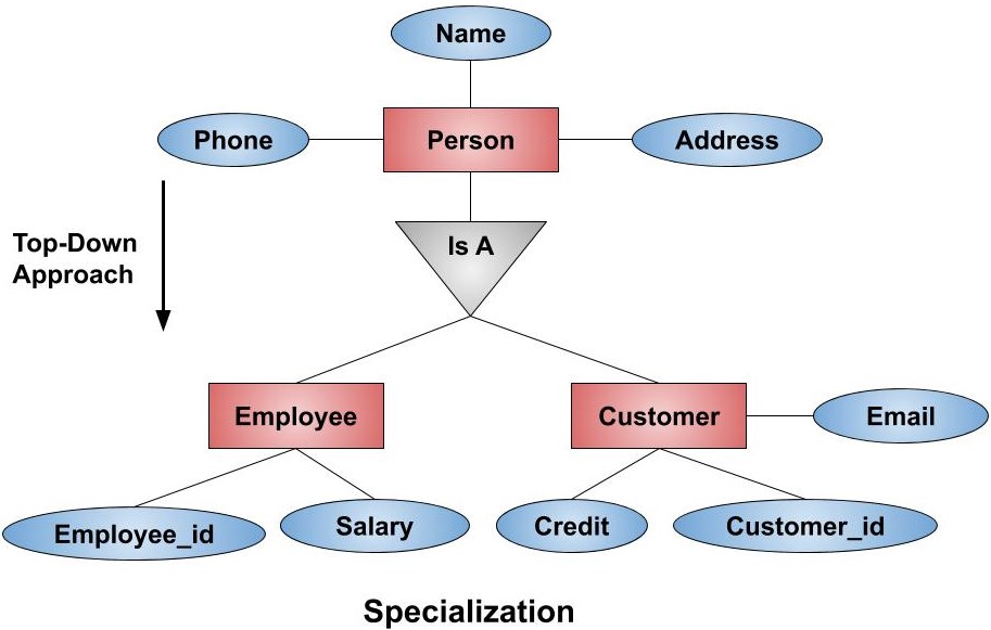 oneS - Specialization in management solution