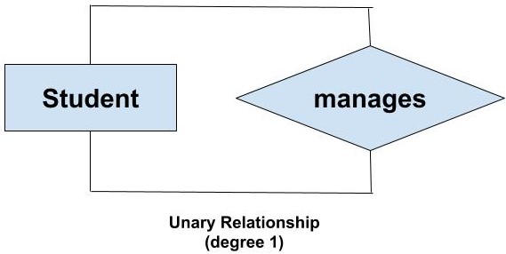 what-is-the-degree-of-relation-in-dbms